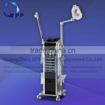 12 in 1 Multifunctional Skin Care Beauty Facial Machine