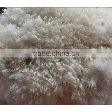 Australia merino clipped raw wool