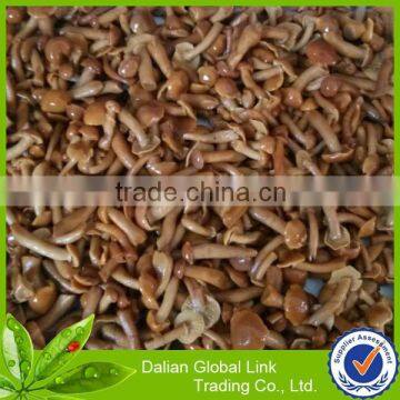 factory directly manufactured nameko in tin can