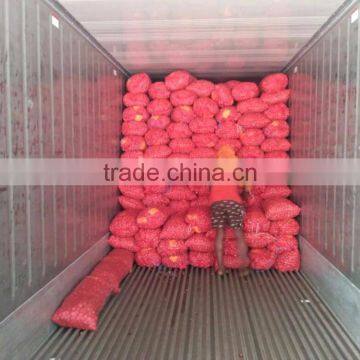 Best Quality Onion Price For Sri Lanka photo-5