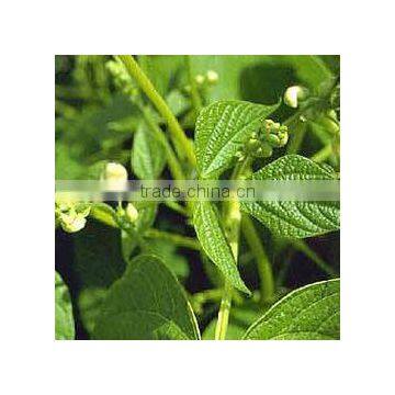 White Kidney beans e.p 1%