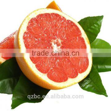 high vitamin C content and valuable to the immune system essential grapefruit oil