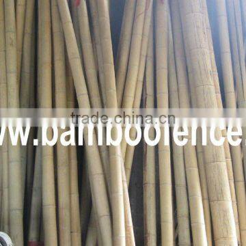 Eco-friendly Natural Moso bamboo pole