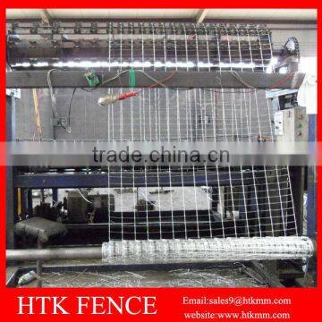 High Tensile 6ft Sheep Wire Mesh Fence (Hot Sale) photo-2