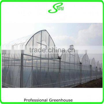 Agricultural Used Greenhouse Manufacturer photo-5
