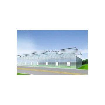 Multi-span Greenhouse Industry photo-2