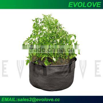 Wholesale plant pots