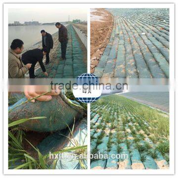 High Quality Filament Fiber Nonwoven Ecological Sand Bag Geo Bag photo-2