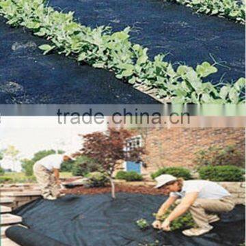 pp Non Woven Fabric Ground Cover photo-4