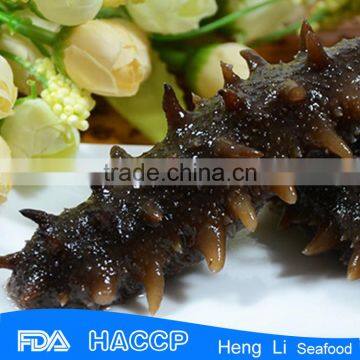 HL011 Hot sale Nutritious the best sea cucumber export