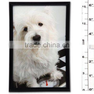 5003-3-10*15cm-A Best seller pvc photo frame