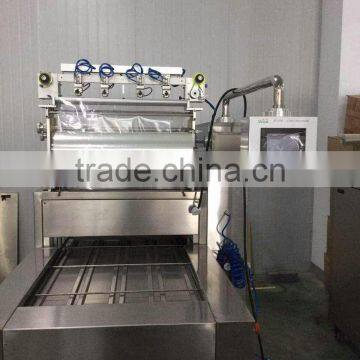 MAP Tray Sealer,Model 550,full-auto photo-6