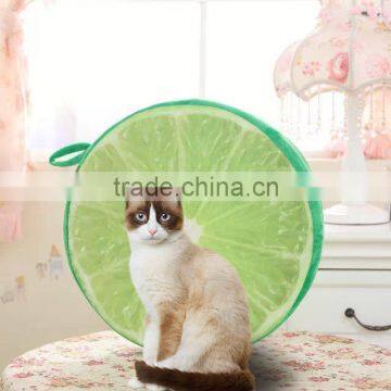 Fruit Shaped Cushion 3D Sandals Soft Comfortable Cute Different Images Printing and Sizes photo-6