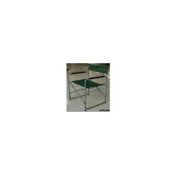 Steel Director Chair