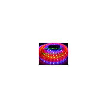 60led/m LPD8806 Led Strip photo-3