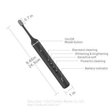 Sonic Toothbrush with 4 Replacement Heads