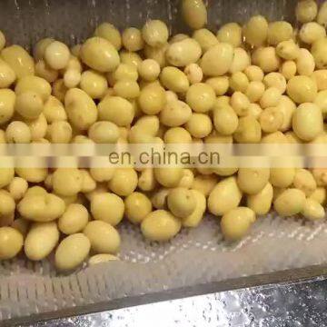 Automatic potato cleaner/ carrot cleaning machine/ yam peeling machine