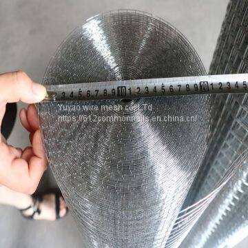 Hot dipped galvanized hardware cloth /pvc welded wire mesh