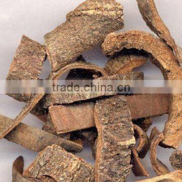 sell all kinds of cassia cinnamon