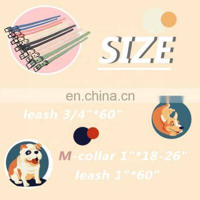 Best Selling Pet Collar and Leash Set Pvc Dog Collar and Leash Waterproof and Easy to Clean photo-4