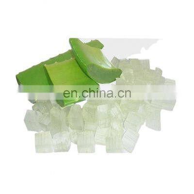 Fresh Diced Aloe Vera/100% Natural Fresh Aloe Vera Leaves/Aloe Vera have amazing proprieties from Vietnam