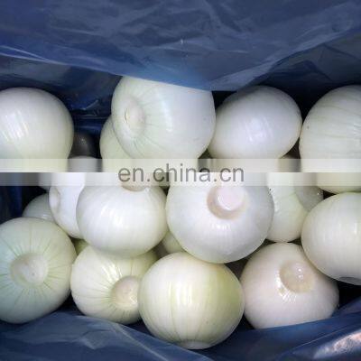 Year Round European Standard Harvest 2019 Skin Off Yellow Whole Round Fresh Onions From China photo-3