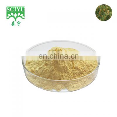 Bulk broken wall Pine tree Pollen Extract Powder