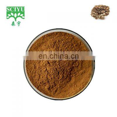 Best Selling maitake mushroom powder/Maitake Mushroom Extract powder/Grifola Frondosa powder