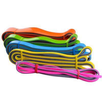 Dual Layer Pull Up Assistance Resistance Bands