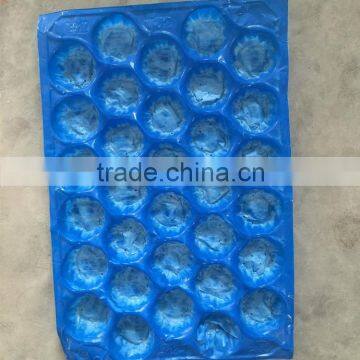 Plastic Tray Liners Under Piece Fruit for Apple Tomato Round Fruit for Williams Pear Kaiser Pears Avocado photo-3