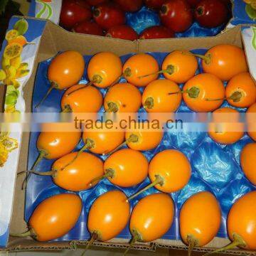 Plastic Vegetable Tray For Tomato