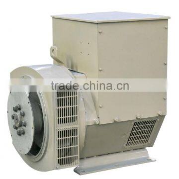 Single Phase Brushless Dynamo Diesel Generator