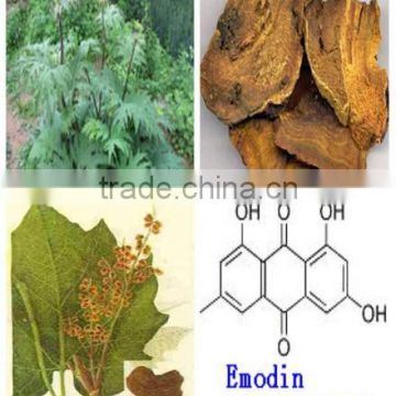 Rheum P.E./ Rheum Officinale Baill Extract