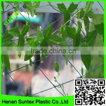 100% new material PE green tomato climbing net made in China