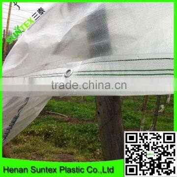 100% virgin HDPE with UV resistant tunnel covering film fuit used woven transparent pe cover