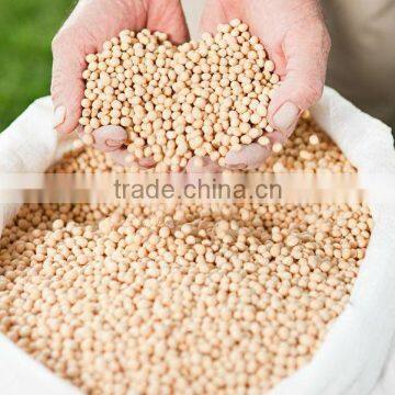 Natural Non-GMO Soybean Extract with Soy Isoflavones