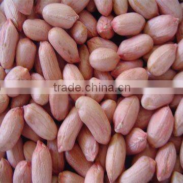 xiang nong peanut kernels