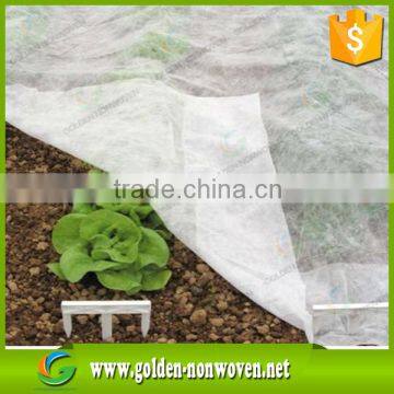 TNT Non woven Agriculture Fabric/UV Resistanr Agriculture Nonwoven Fabric for Ground Cover,Vegetable