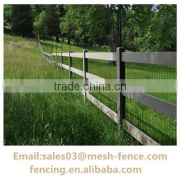 1.7/2.2mm Wire Dia Euro Fence used for Green Lawn