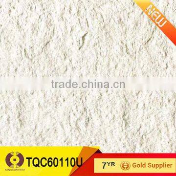 60x60 Foshan rough finished porcelain floor tile (TQC60110U)