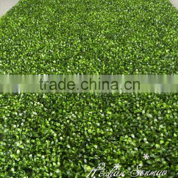 5ft*10ft size customized factory direct sale artificial boxwood mat lawn boxwood topiary turf for indoor or outdoor decor