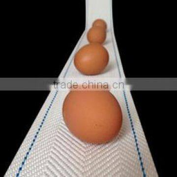 egg conveyor collection belt for poultry farming