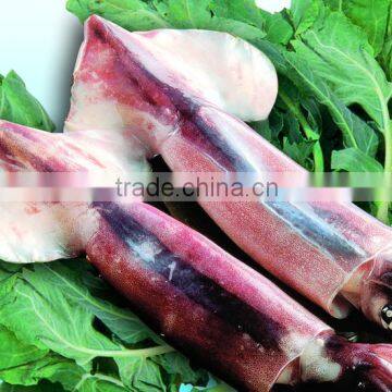 Frozen Squid illex whole round