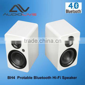 BH4 HiFi Professional Portable Bluetooth Speaker