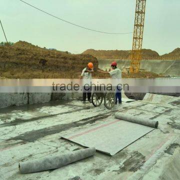 Manufacturer: Polyethylene Polypropylene Fiber Polyester, Polypropylene Membrane for Roof photo-4