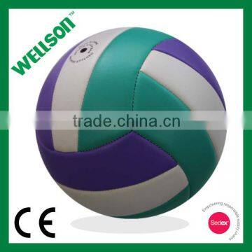 Official size and weight volleyball