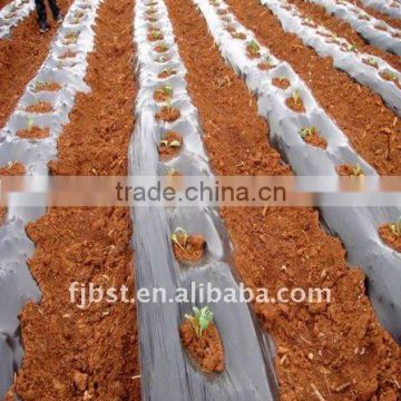 mulching film