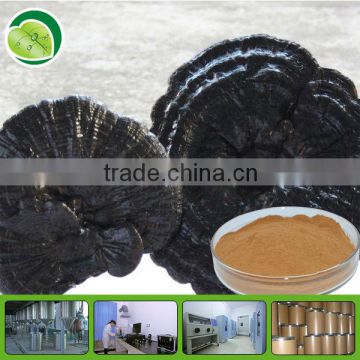 High quality ganoderma lucidum spore powder