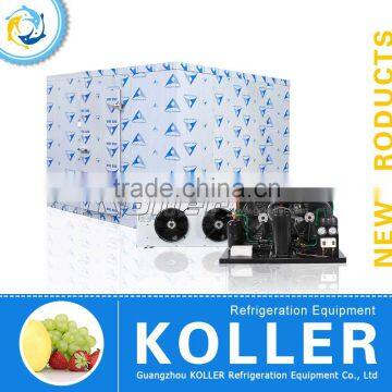 Koller 30CBM Cold Storage Room with Freezers for fish & meat VCR30