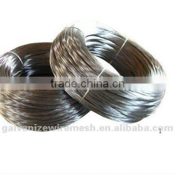 Thin Elactro Galvanized iron Wire (FACTORY)